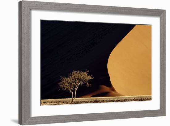 Namibia, Namib-Naukluft Park. Red Sand Dunes Contrast and Tree-Jaynes Gallery-Framed Photographic Print