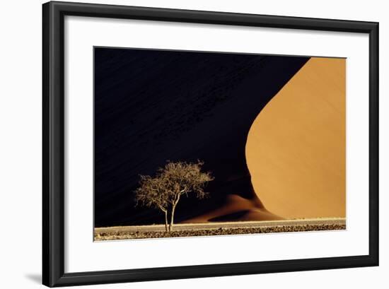 Namibia, Namib-Naukluft Park. Red Sand Dunes Contrast and Tree-Jaynes Gallery-Framed Photographic Print