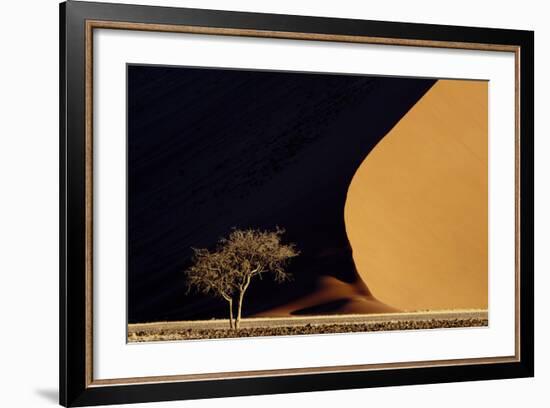 Namibia, Namib-Naukluft Park. Red Sand Dunes Contrast and Tree-Jaynes Gallery-Framed Photographic Print