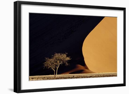 Namibia, Namib-Naukluft Park. Red Sand Dunes Contrast and Tree-Jaynes Gallery-Framed Photographic Print
