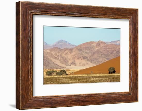 Namibia, Namib-Naukluft Park. Sand Dune and Contrasting Mountains-Wendy Kaveney-Framed Photographic Print