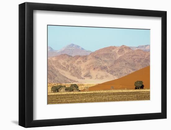 Namibia, Namib-Naukluft Park. Sand Dune and Contrasting Mountains-Wendy Kaveney-Framed Photographic Print