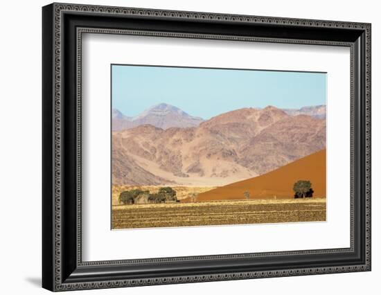 Namibia, Namib-Naukluft Park. Sand Dune and Contrasting Mountains-Wendy Kaveney-Framed Photographic Print