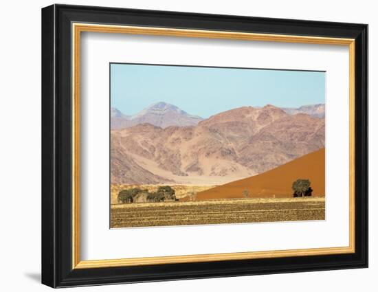 Namibia, Namib-Naukluft Park. Sand Dune and Contrasting Mountains-Wendy Kaveney-Framed Photographic Print