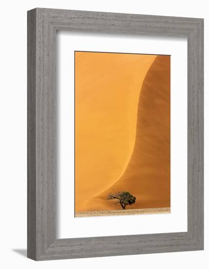 Namibia, Namib-Naukluft Park. Sand Dune and Tree-Wendy Kaveney-Framed Photographic Print