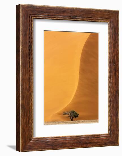 Namibia, Namib-Naukluft Park. Sand Dune and Tree-Wendy Kaveney-Framed Photographic Print