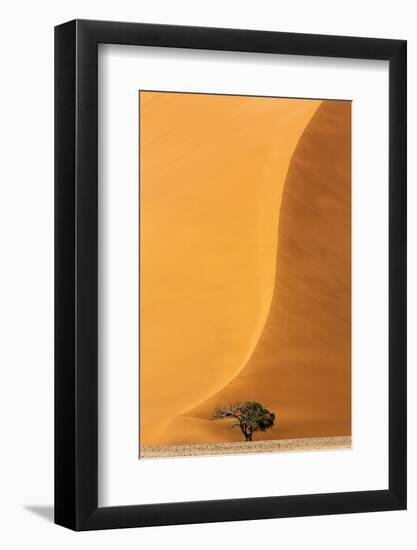 Namibia, Namib-Naukluft Park. Sand Dune and Tree-Wendy Kaveney-Framed Photographic Print