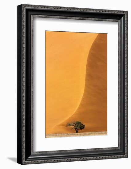 Namibia, Namib-Naukluft Park. Sand Dune and Tree-Wendy Kaveney-Framed Photographic Print