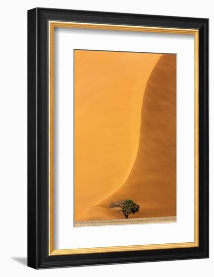 Namibia, Namib-Naukluft Park. Sand Dune and Tree-Wendy Kaveney-Framed Photographic Print