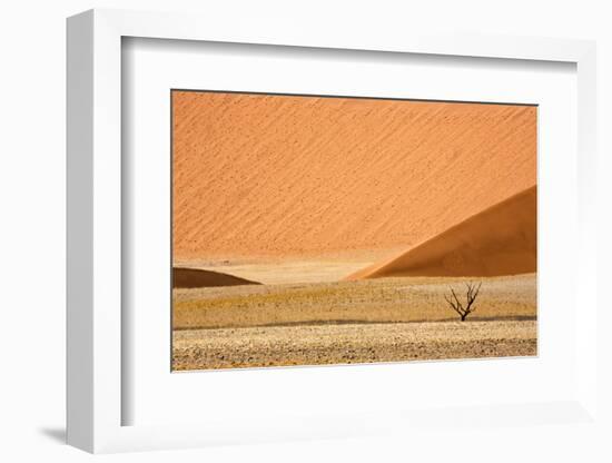 Namibia, Namib-Naukluft Park. Sand Dunes and Lone Dead Tree-Wendy Kaveney-Framed Photographic Print