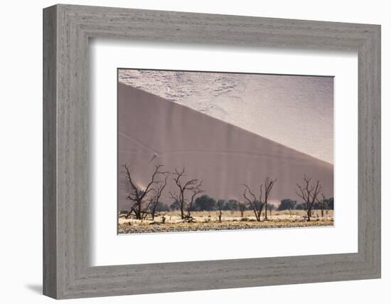 Namibia, Namib-Naukluft Park. Sand Dunes and Skeleton Trees-Wendy Kaveney-Framed Photographic Print