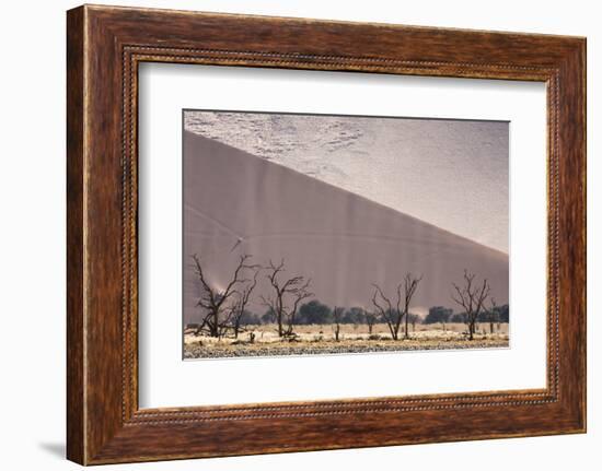 Namibia, Namib-Naukluft Park. Sand Dunes and Skeleton Trees-Wendy Kaveney-Framed Photographic Print