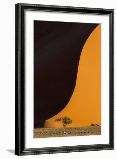 Namibia, Namib-Naukluft Park. Side-Lit Sand Dune and Tree-Wendy Kaveney-Framed Photographic Print