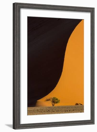Namibia, Namib-Naukluft Park. Side-Lit Sand Dune and Tree-Wendy Kaveney-Framed Photographic Print