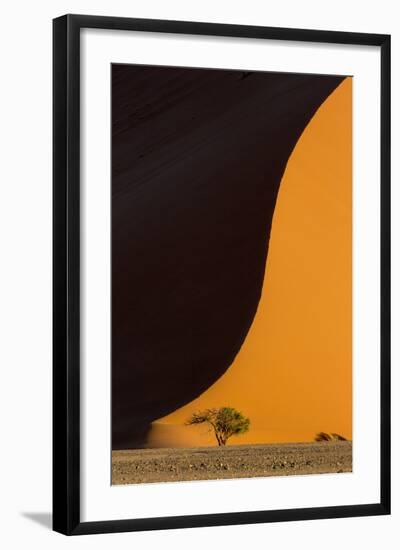Namibia, Namib-Naukluft Park. Side-Lit Sand Dune and Tree-Wendy Kaveney-Framed Photographic Print
