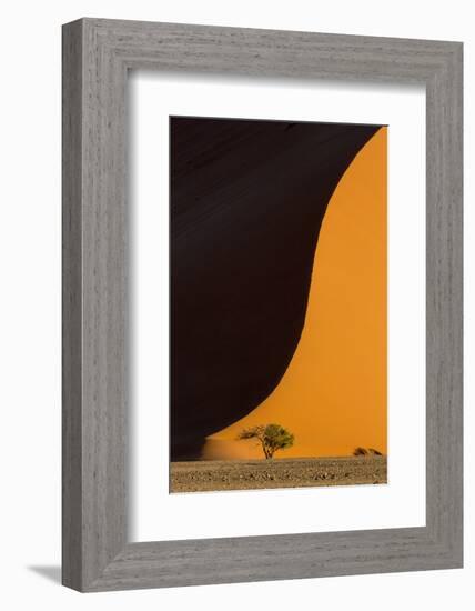 Namibia, Namib-Naukluft Park. Side-Lit Sand Dune and Tree-Wendy Kaveney-Framed Photographic Print