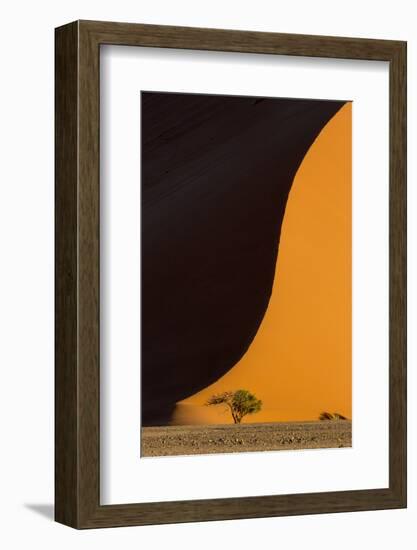 Namibia, Namib-Naukluft Park. Side-Lit Sand Dune and Tree-Wendy Kaveney-Framed Photographic Print