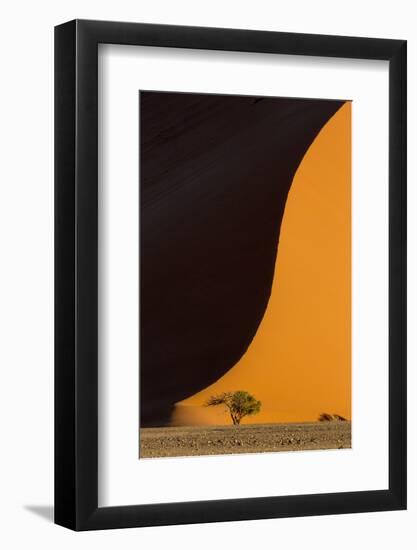 Namibia, Namib-Naukluft Park. Side-Lit Sand Dune and Tree-Wendy Kaveney-Framed Photographic Print