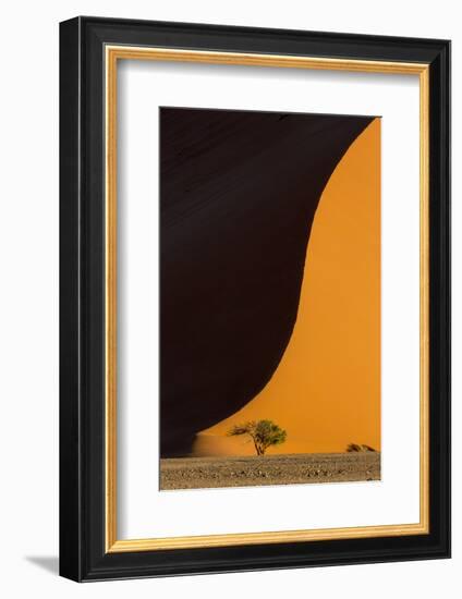 Namibia, Namib-Naukluft Park. Side-Lit Sand Dune and Tree-Wendy Kaveney-Framed Photographic Print