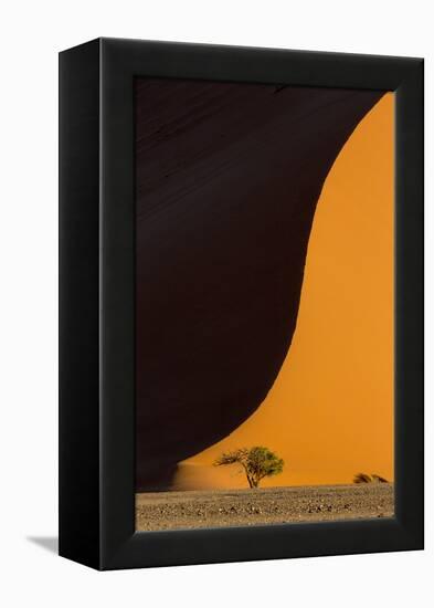 Namibia, Namib-Naukluft Park. Side-Lit Sand Dune and Tree-Wendy Kaveney-Framed Premier Image Canvas