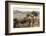 Namibia, Naukluft National Park, Quiver Tree, Aloe, Kokerboom-Stuart Westmorland-Framed Photographic Print