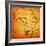 Namibia on Actual Map of Africa-michal812-Framed Premium Giclee Print