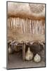 Namibia, Opuwo. Gourds under Food Storage Hut-Wendy Kaveney-Mounted Photographic Print