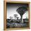 Namibia Quiver Trees-Nina Papiorek-Framed Premier Image Canvas