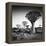 Namibia Quiver Trees-Nina Papiorek-Framed Premier Image Canvas