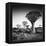 Namibia Quiver Trees-Nina Papiorek-Framed Premier Image Canvas