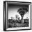 Namibia Quiver Trees-Nina Papiorek-Framed Photographic Print