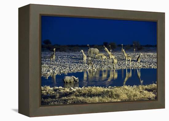 Namibia, Region of Kunene, Etosha National Park, Water Hole Okaukuejo, Giraffes-Reiner Harscher-Framed Premier Image Canvas