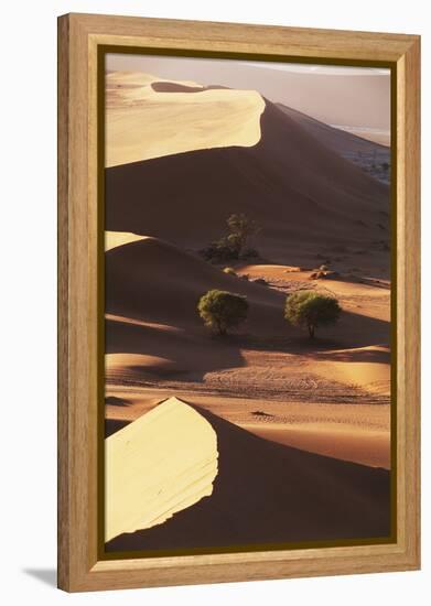 Namibia, Sesriem and Sossusvlei, Sand Dunes Desert at Namib NP-Gavriel Jecan-Framed Premier Image Canvas