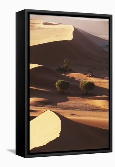 Namibia, Sesriem and Sossusvlei, Sand Dunes Desert at Namib NP-Gavriel Jecan-Framed Premier Image Canvas