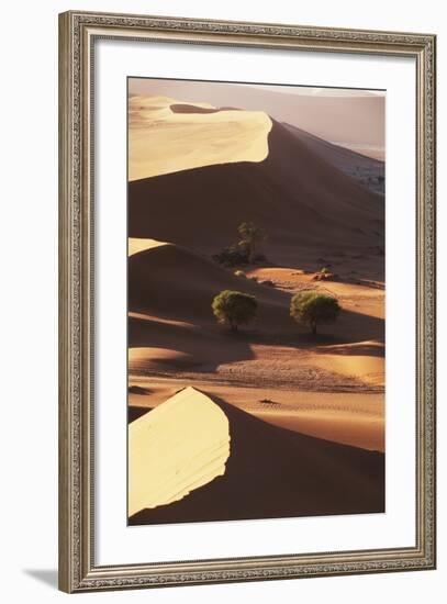 Namibia, Sesriem and Sossusvlei, Sand Dunes Desert at Namib NP-Gavriel Jecan-Framed Photographic Print