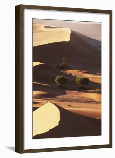 Namibia, Sesriem and Sossusvlei, Sand Dunes Desert at Namib NP-Gavriel Jecan-Framed Photographic Print