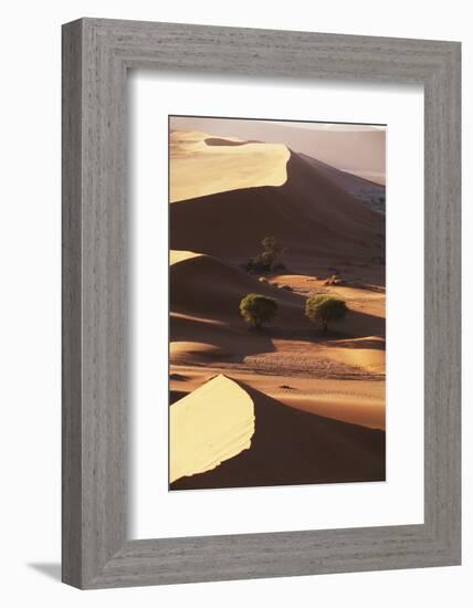 Namibia, Sesriem and Sossusvlei, Sand Dunes Desert at Namib NP-Gavriel Jecan-Framed Photographic Print