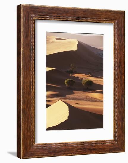 Namibia, Sesriem and Sossusvlei, Sand Dunes Desert at Namib NP-Gavriel Jecan-Framed Photographic Print