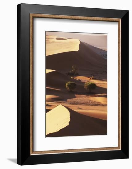 Namibia, Sesriem and Sossusvlei, Sand Dunes Desert at Namib NP-Gavriel Jecan-Framed Photographic Print