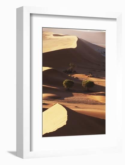 Namibia, Sesriem and Sossusvlei, Sand Dunes Desert at Namib NP-Gavriel Jecan-Framed Photographic Print