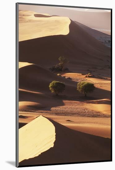 Namibia, Sesriem and Sossusvlei, Sand Dunes Desert at Namib NP-Gavriel Jecan-Mounted Photographic Print