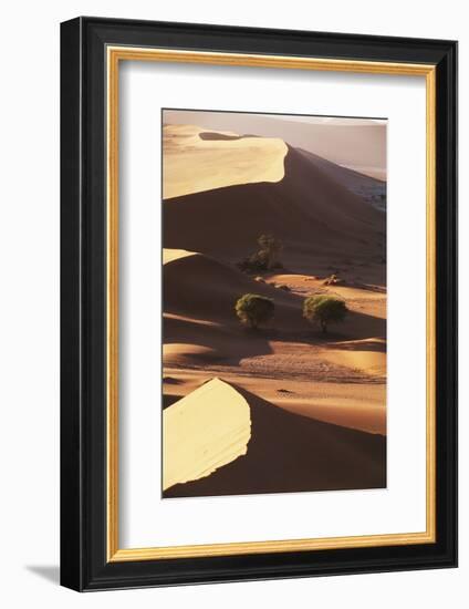 Namibia, Sesriem and Sossusvlei, Sand Dunes Desert at Namib NP-Gavriel Jecan-Framed Photographic Print