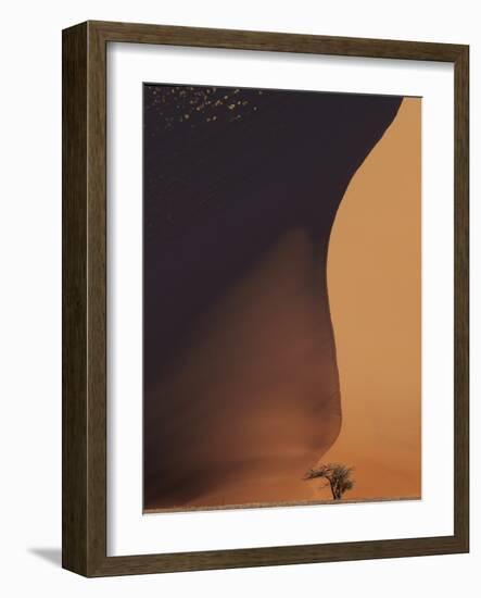 Namibia the Dune-Nina Papiorek-Framed Photographic Print