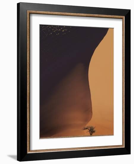 Namibia the Dune-Nina Papiorek-Framed Photographic Print