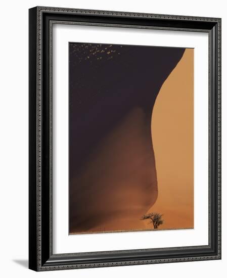 Namibia the Dune-Nina Papiorek-Framed Photographic Print