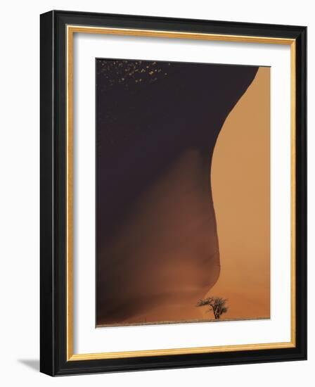 Namibia the Dune-Nina Papiorek-Framed Photographic Print