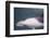 Namibia, Walvis Bay. Surface Shot of Rare Heaviside's Dolphin-Janet Muir-Framed Photographic Print