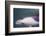 Namibia, Walvis Bay. Surface Shot of Rare Heaviside's Dolphin-Janet Muir-Framed Photographic Print