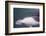 Namibia, Walvis Bay. Surface Shot of Rare Heaviside's Dolphin-Janet Muir-Framed Photographic Print