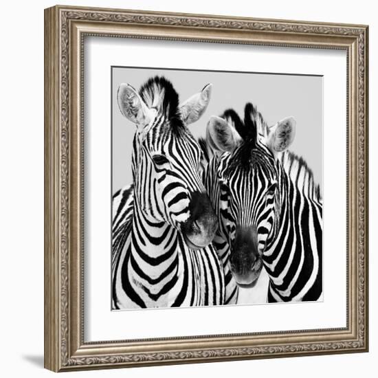 Namibia Zebras-Nina Papiorek-Framed Giclee Print